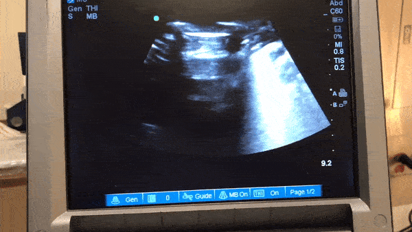 Radiology Radiology