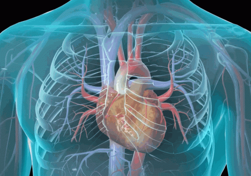 CARDIOLOGY